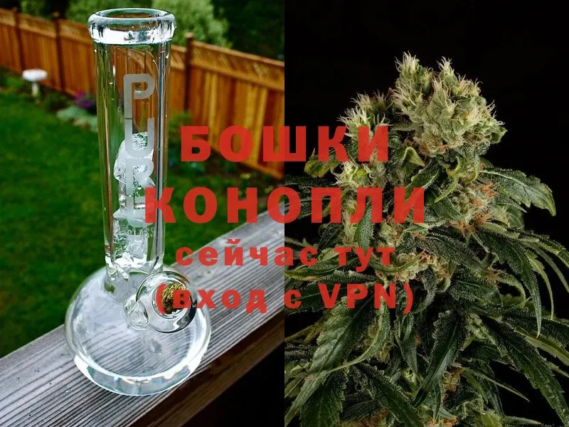 Бошки Шишки SATIVA & INDICA  Спасск-Рязанский 